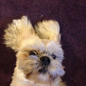 Meet your Posher, Pam