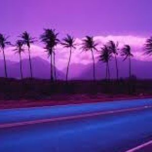 Meet your Posher, Eva