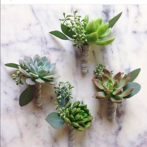 Meet your Posher, Kirenia