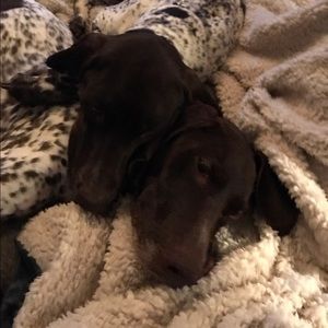 Meet your Posher, Kristine