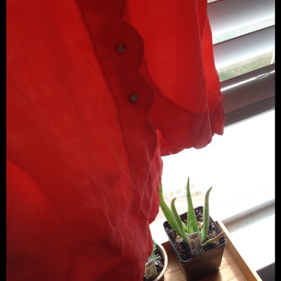 SOLD - Picture 4 of 4