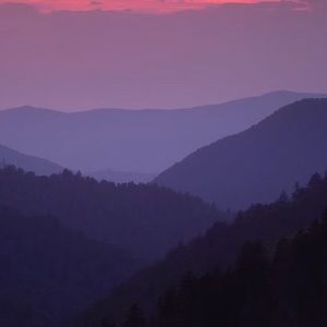 Meet your Posher, Bree