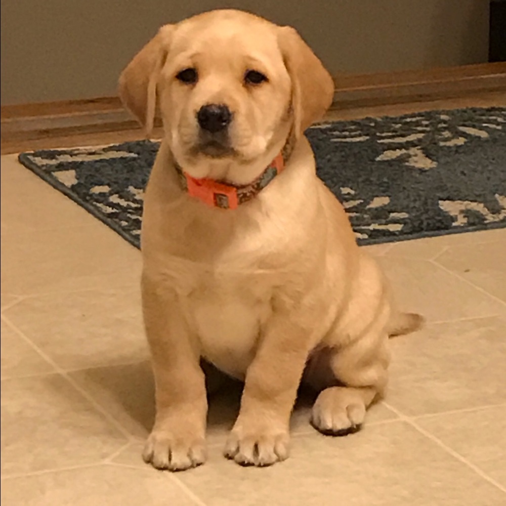 Meet your Posher, Heather