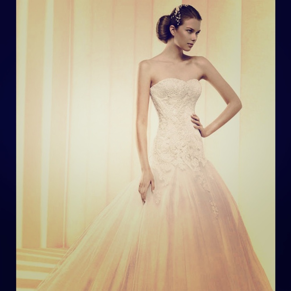 Pronovias La Sposa Wedding Dress