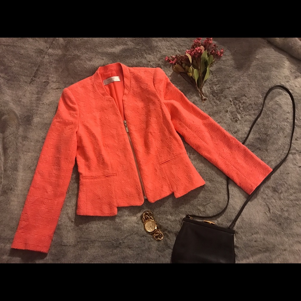 ▫️ZARA ▪️Zip Up Blazer