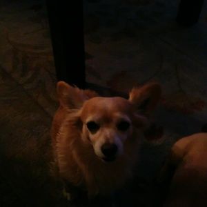 Meet your Posher, Marie