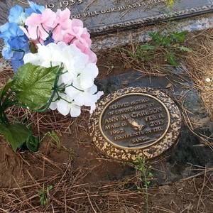 Meet your Posher, Joy