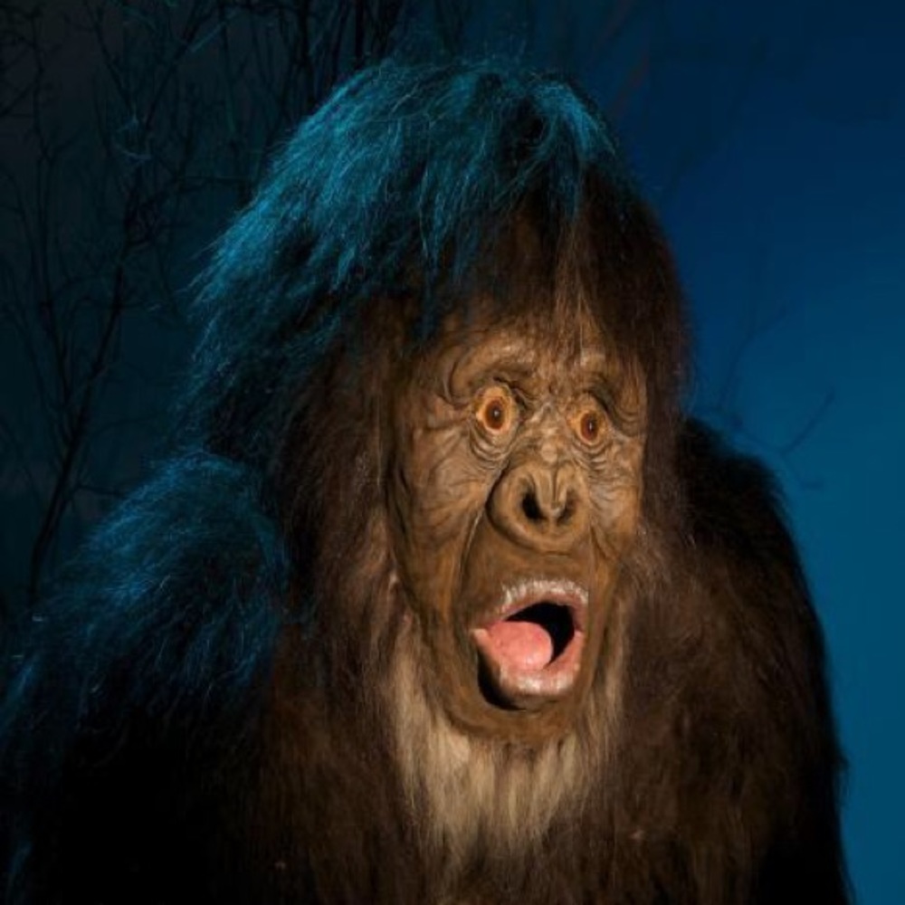 Mystery activewear t shirt