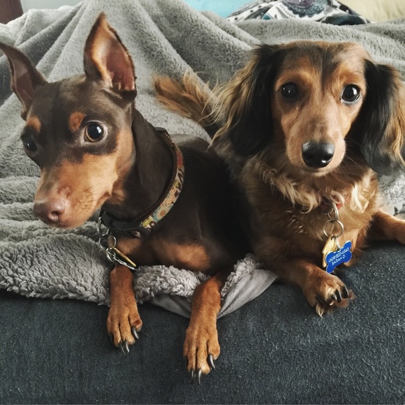 Meet your Posher! - Picture 2 of 3