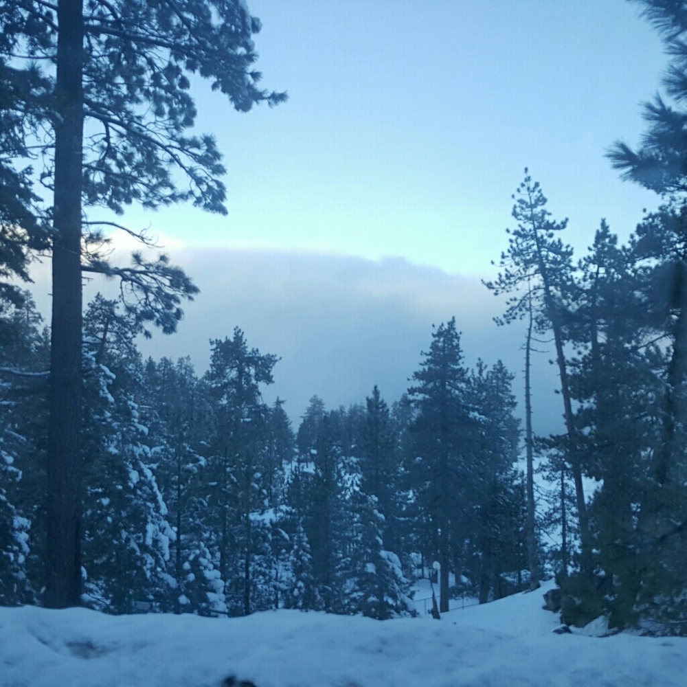 Meet your Posher, Marlene