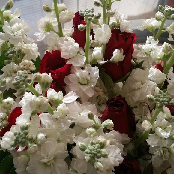 Meet your Posher, Gaelle - Picture 1 of 1