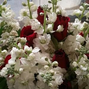 Meet your Posher, Gaelle