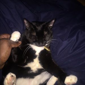 Meet your Posher, Dana