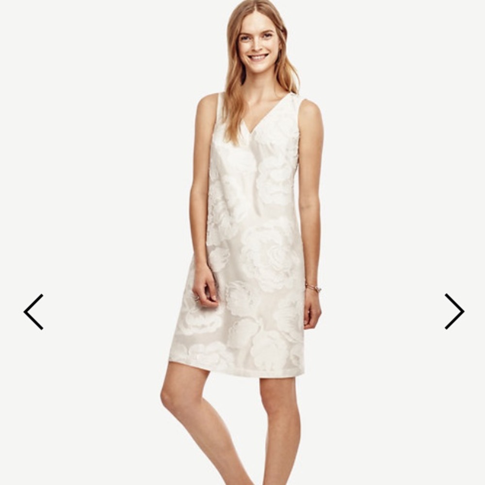 NWT ANN TAYLOR Signature Shift Dress White Lined