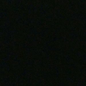 Meet your Posher, Rosalie