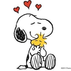 Meet your Posher, Reagan