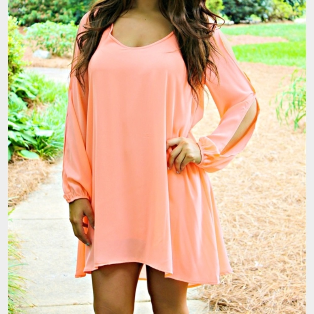 Sheer long sleeve dress
