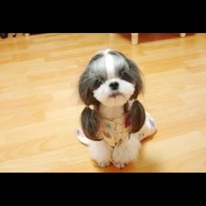 Meet your Posher, Terri