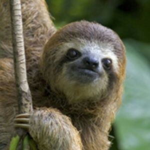 Meet your Posher, Matt