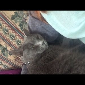 Meet your Posher, Kailey