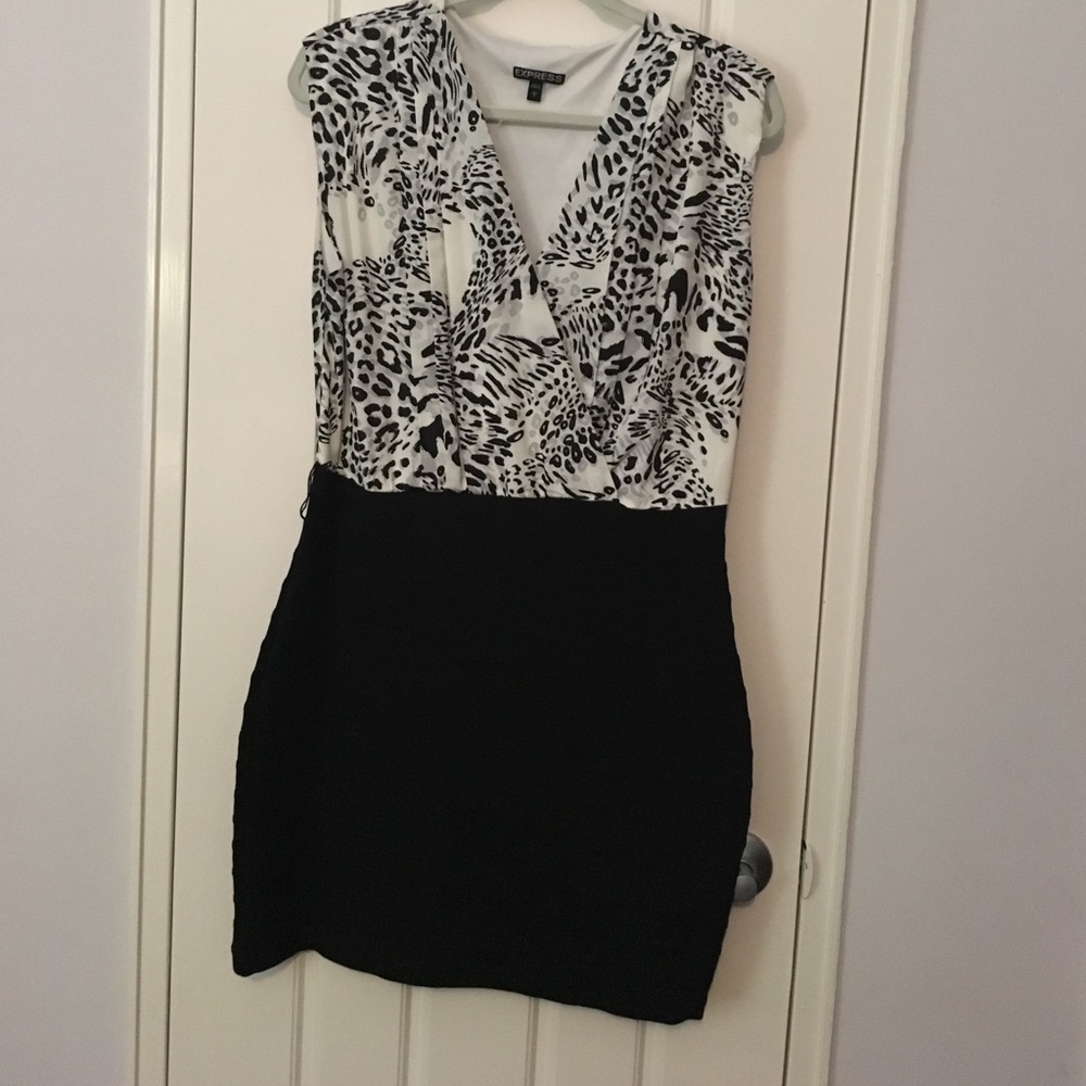 Express Animal print color block dress