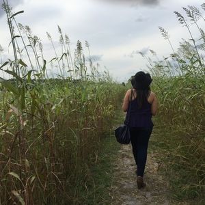 Meet your Posher, Yaralis