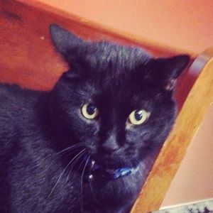 Meet your Posher, Emy