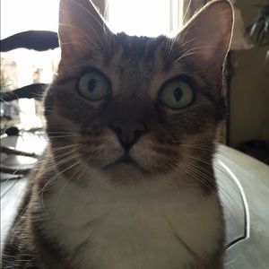 Meet your Posher, Laura