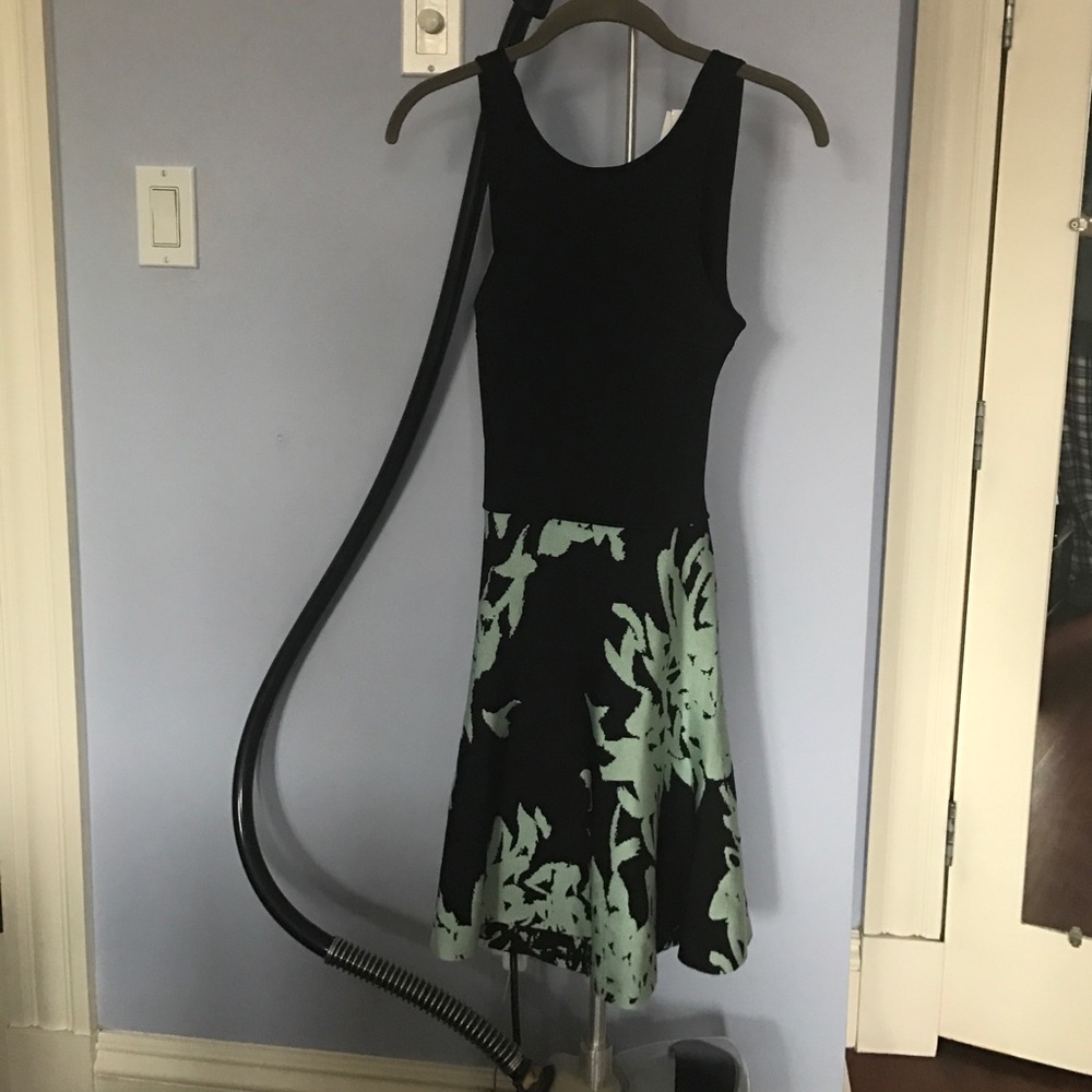 NWT: Issa - Michelle dress size xs