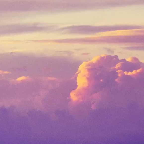 Meet your Posher, Brianna - Picture 1 of 1