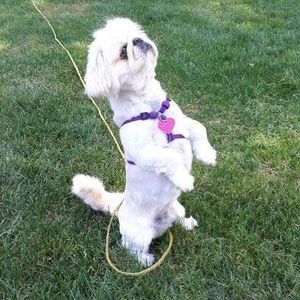 Meet your Posher, Carol