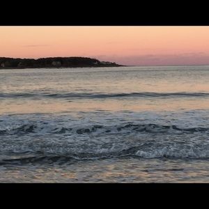 Meet your Posher, Sue