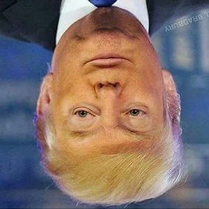 Meet your Posher, Logan