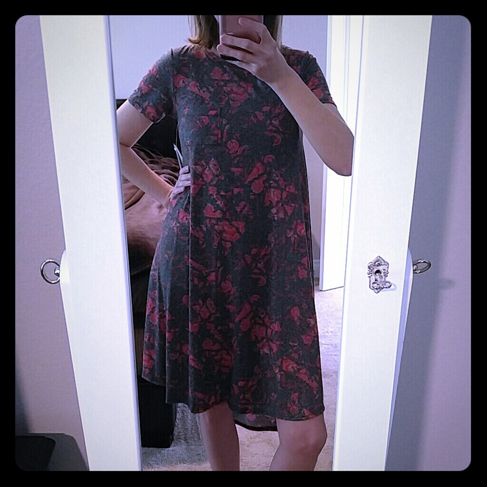 XXS Carly NWT