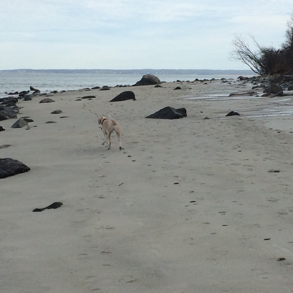 Meet your Posher, Vivienne