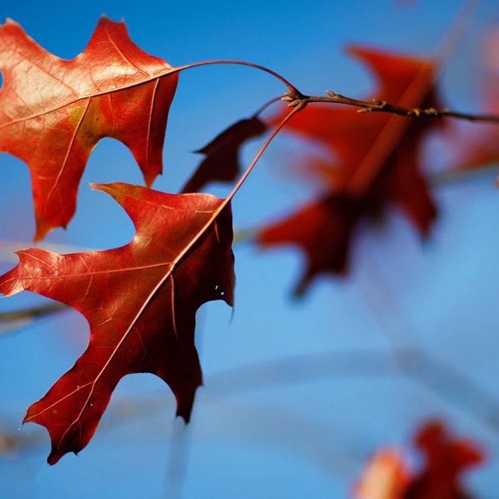 Meet your Posher, Nathan