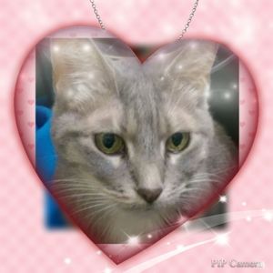 Meet your Posher, Deb