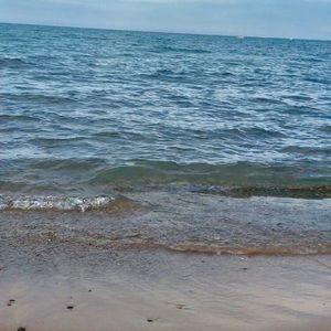 Meet your Posher, Malak