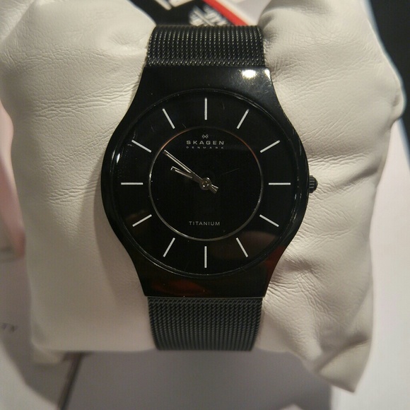 skagen Denmark Other - Skagen Denmark men watch