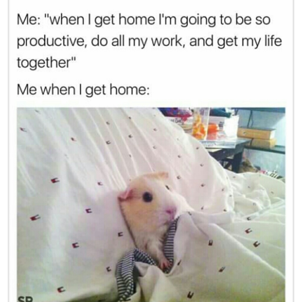 Meet your Posher, Maria