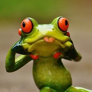 Meet your Posher, Tana