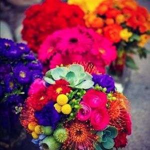 Meet your Posher, Nidia