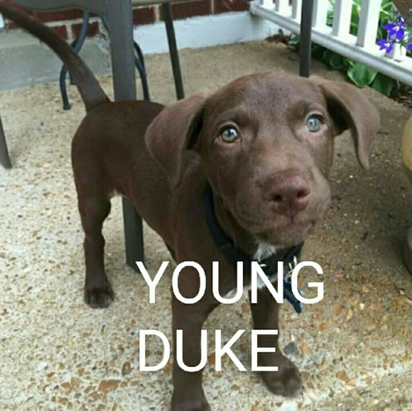 5 SPOTS LEFT! THANK YOU!!! - Picture 3 of 5