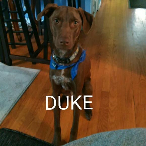 5 SPOTS LEFT! THANK YOU!!! - Picture 4 of 5