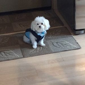 Meet your Posher, Brooke