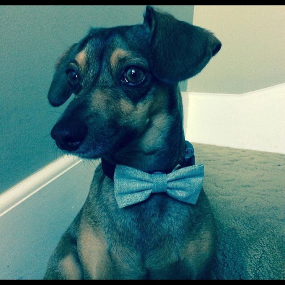 Meet your Posher, Angie