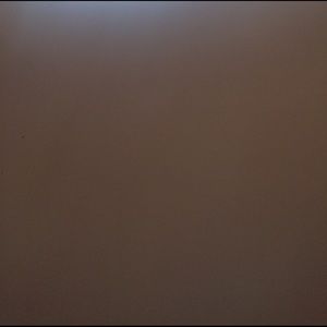 Meet your Posher, Ali