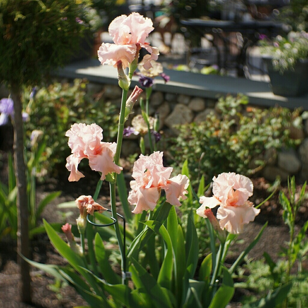 Meet your Posher, Natalia