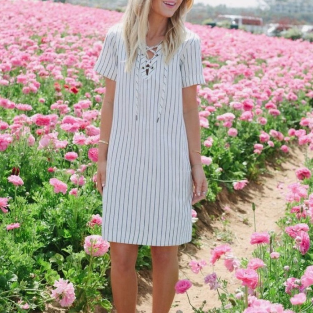 Madewell striped shift lace up dress - Picture 1 of 8