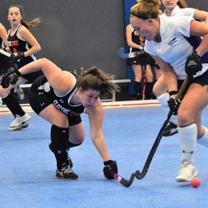 Meet your Posher, Sandy